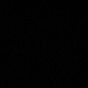 Meet your Posher, Paulina